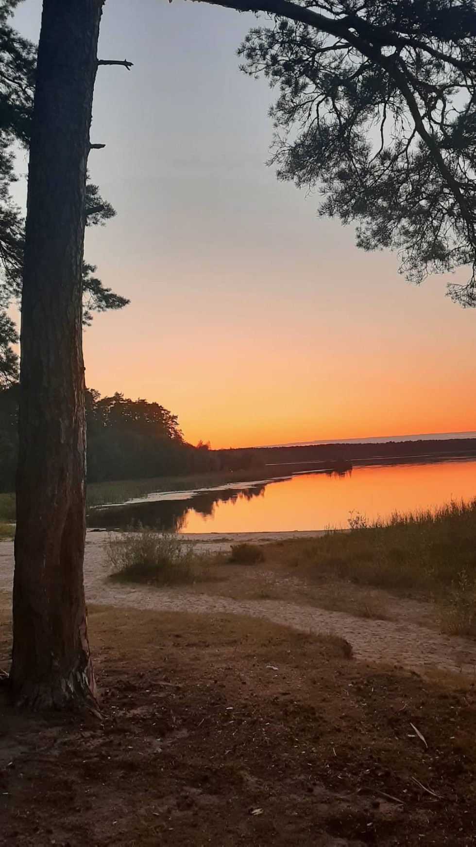 ���� ������ '������'