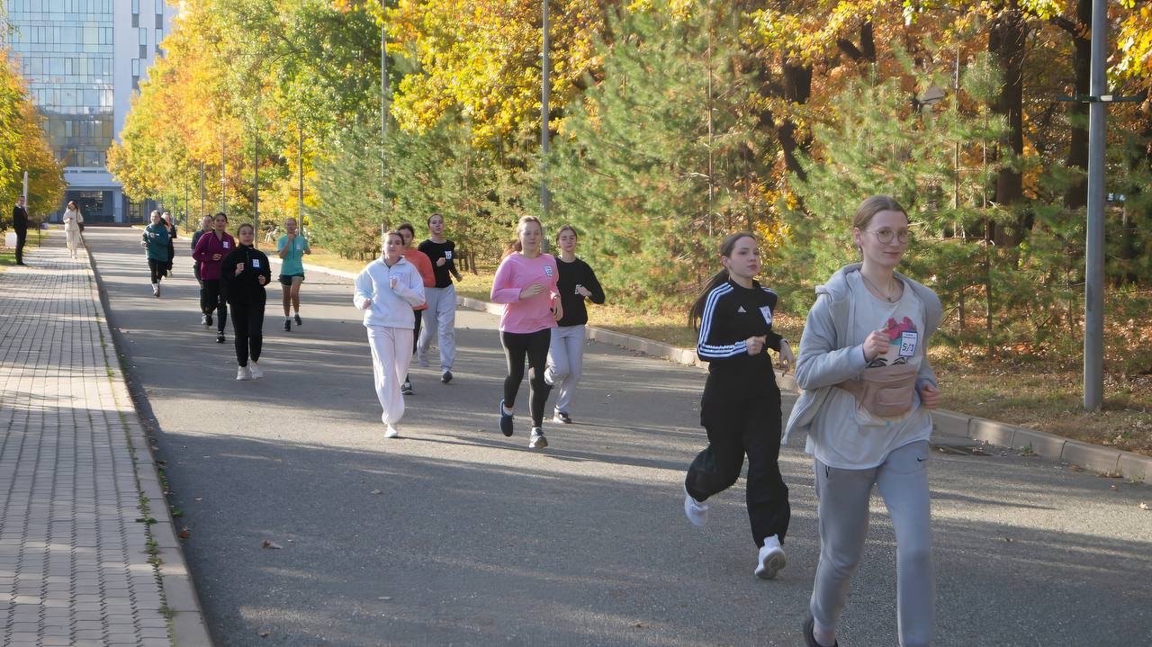 ������� ����� � ������� �����������: ���������� ���������� � ������������ �������� ,�����, �����, ������