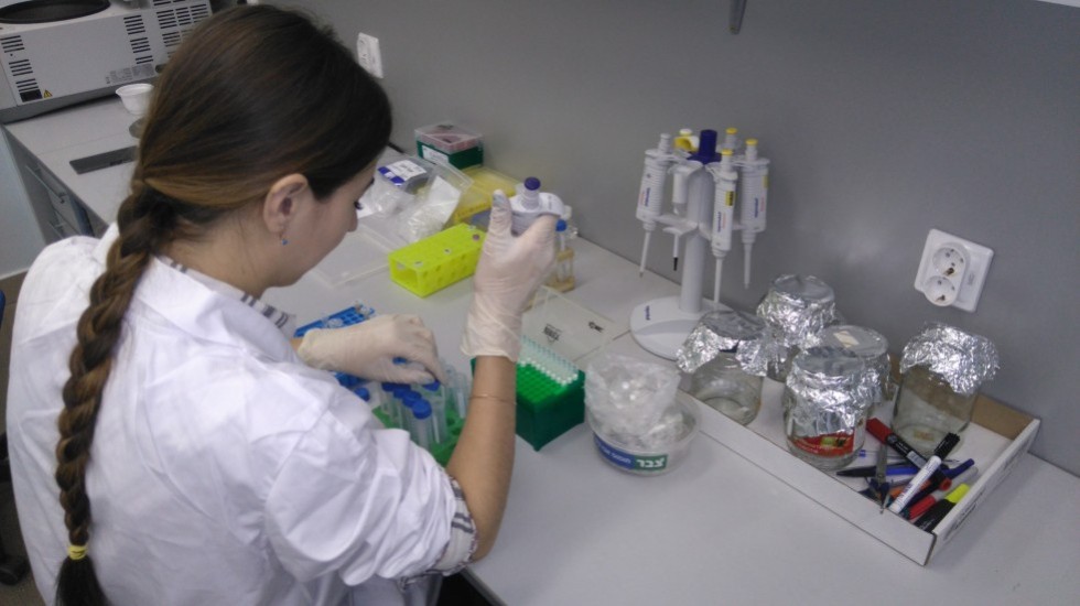 ����� ����������