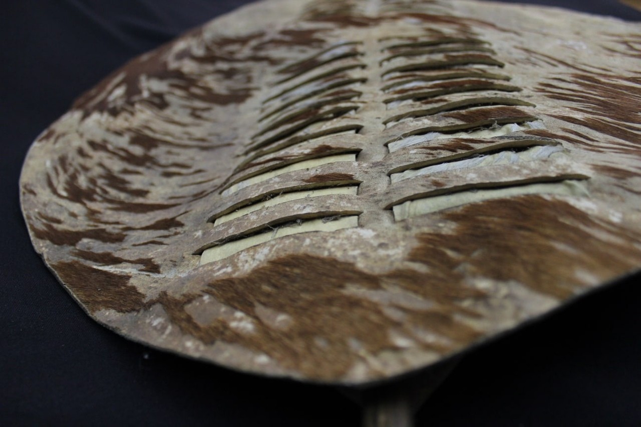 Щит зулусов Щит зулусов