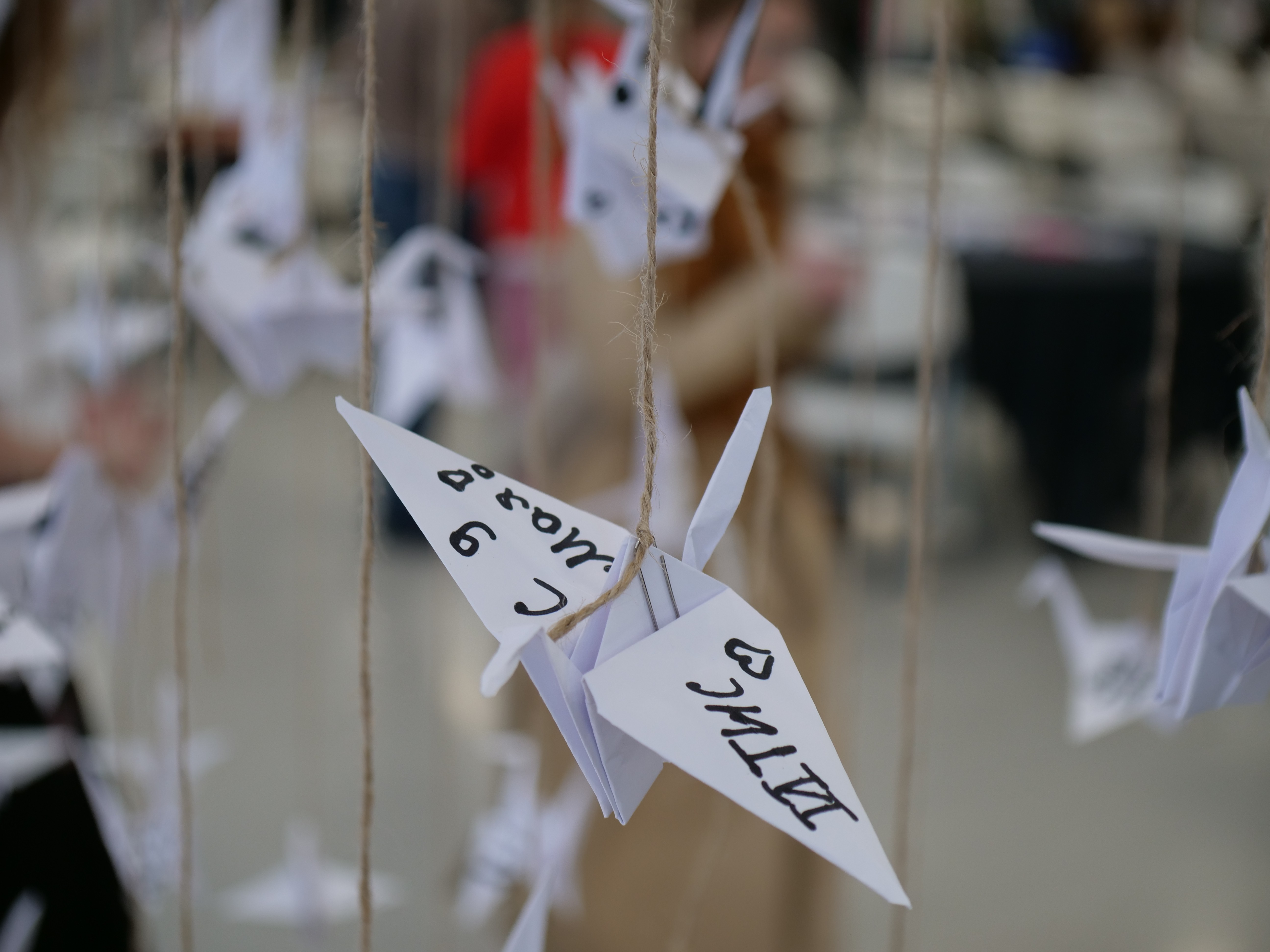 '������� ������' ���� ������ ������ � ��-����� ����� ������ �������