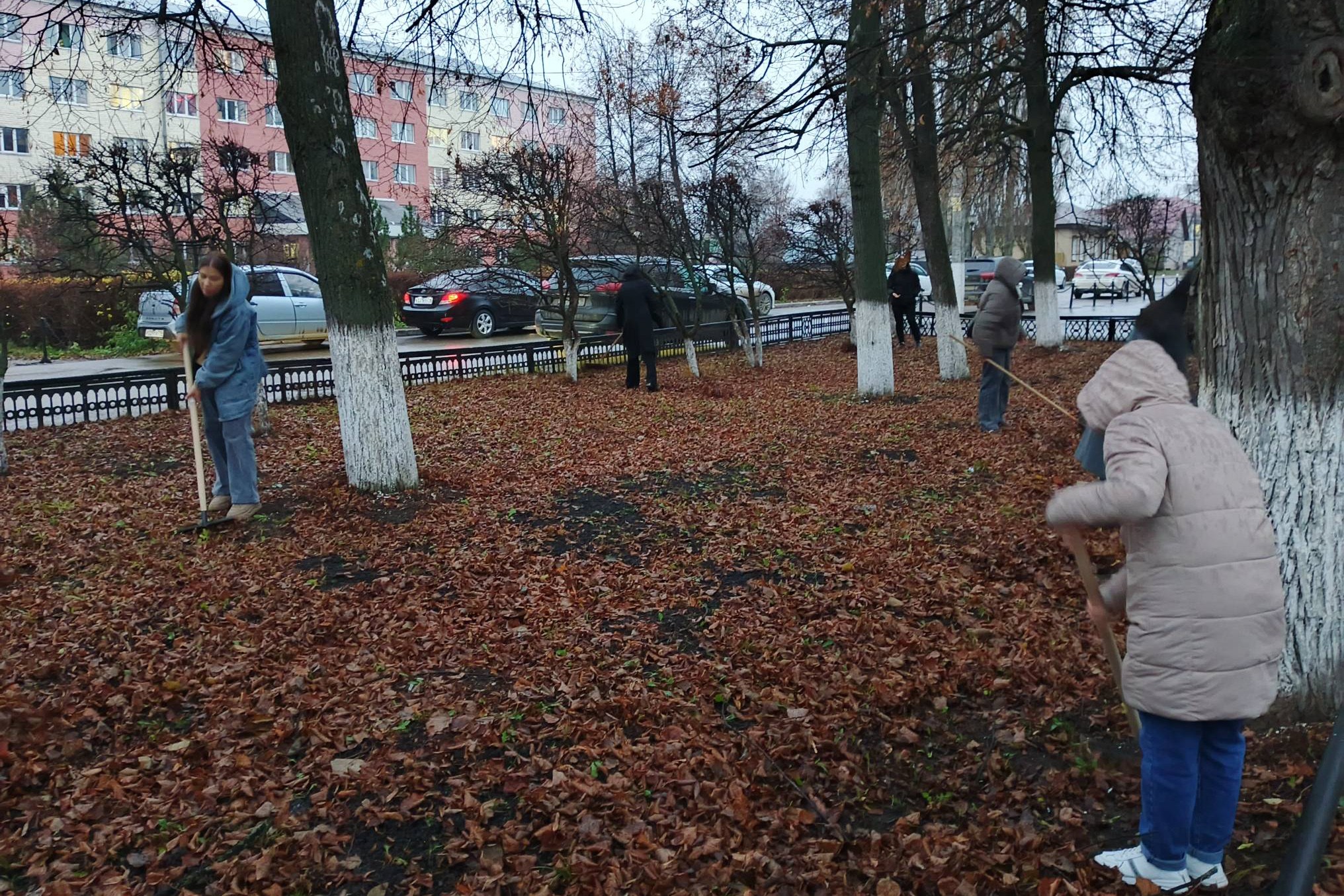 Субботник провели преподаватели и студенты Субботник провели преподаватели и студенты