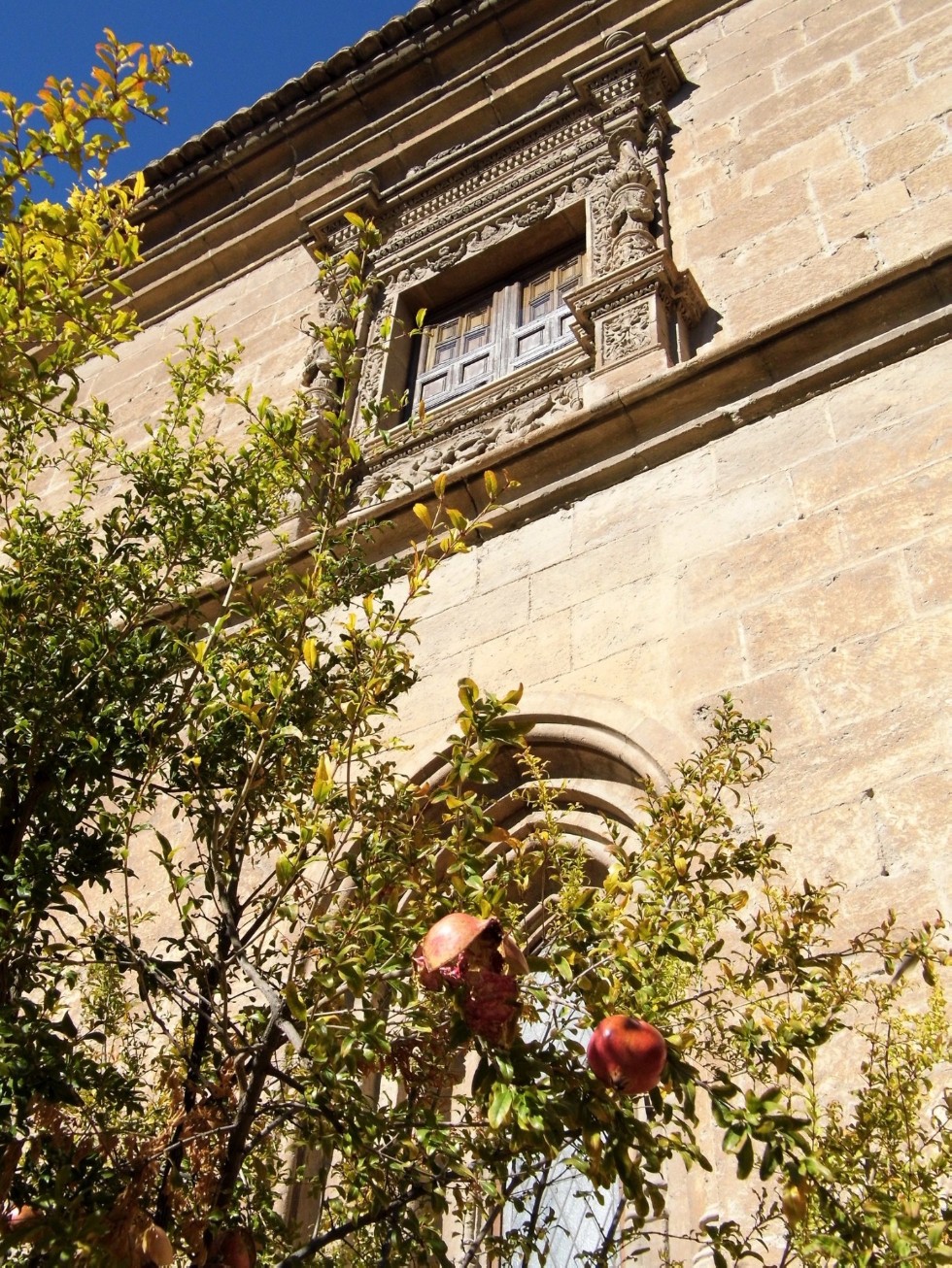 ������� ���������: ����� �������� �����