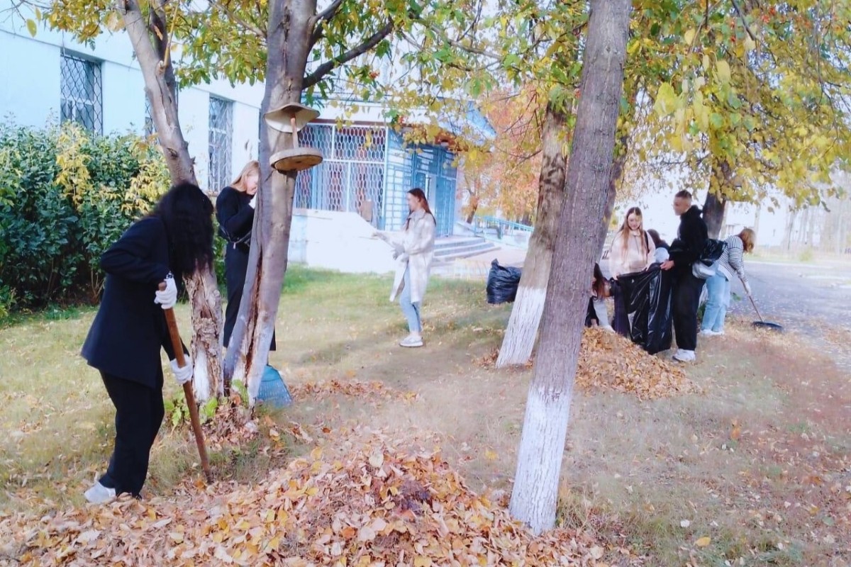 ���� ����� �� ������!