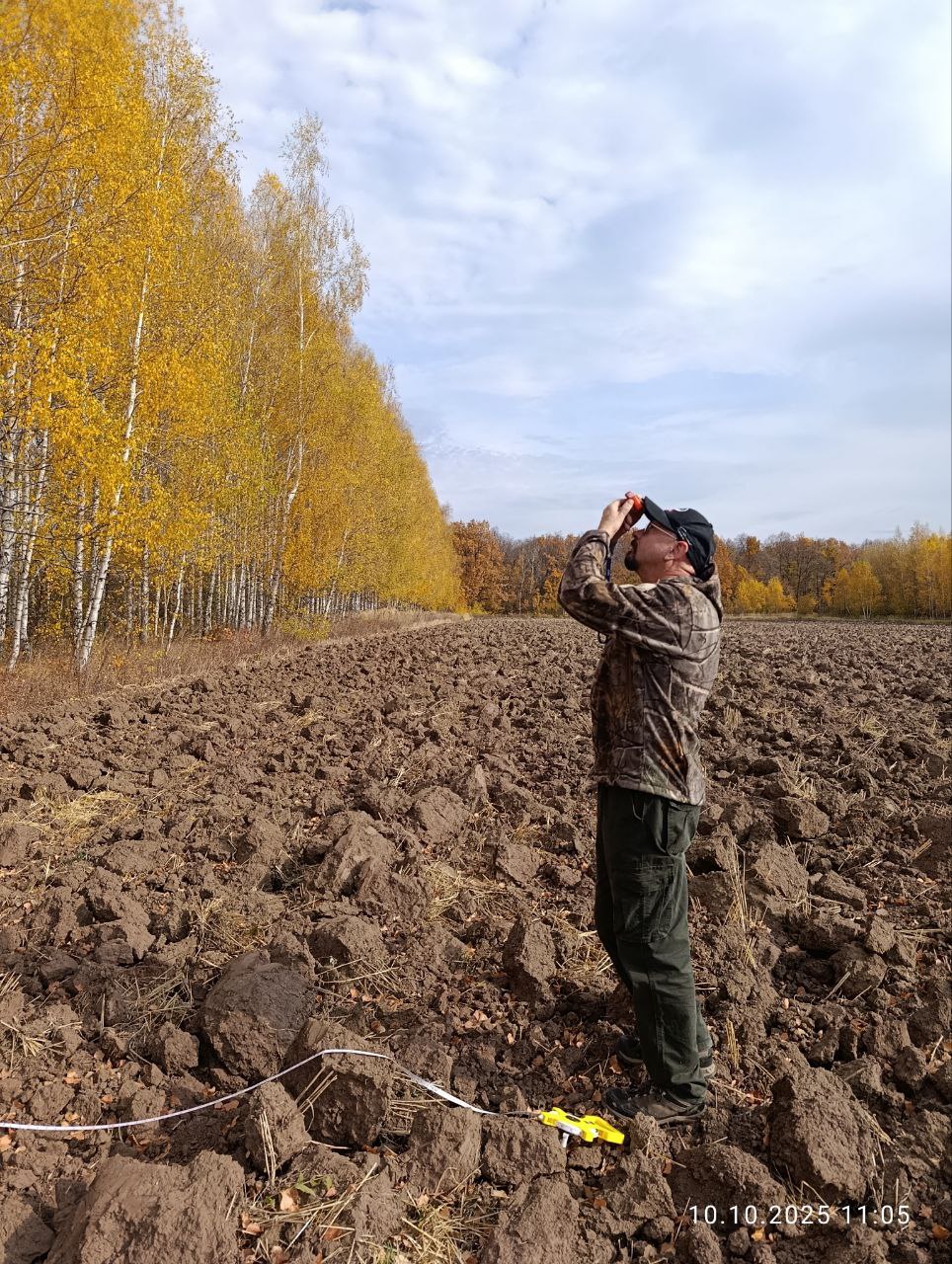 Оценка скорости прироста биомассы разновозрастных лесополос Оценка скорости прироста биомассы разновозрастных лесополос