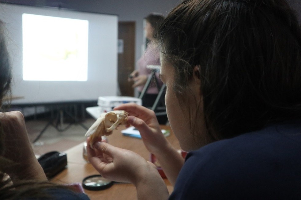 ����� '��������� 3.0'