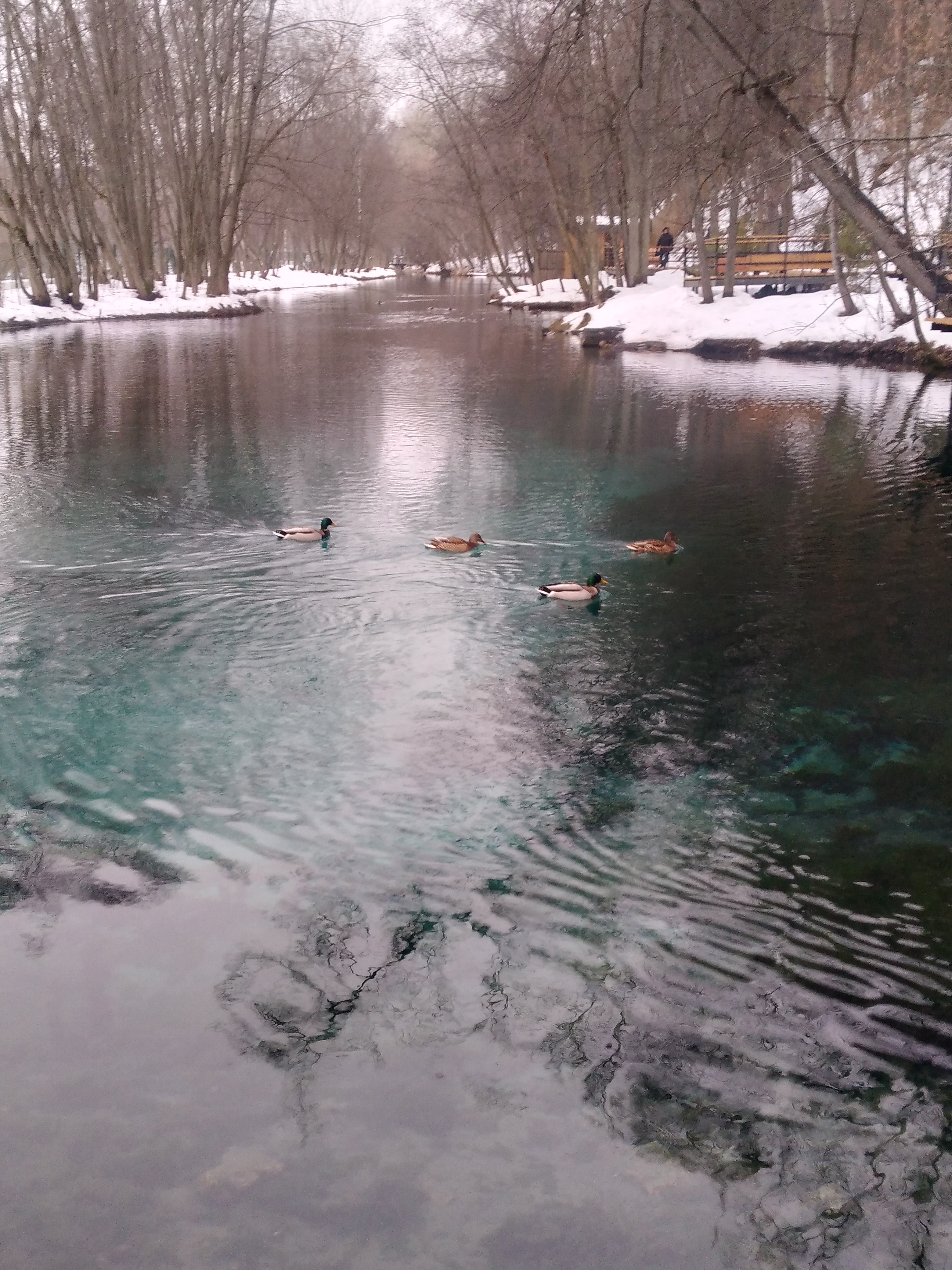 � �������� - �����?.