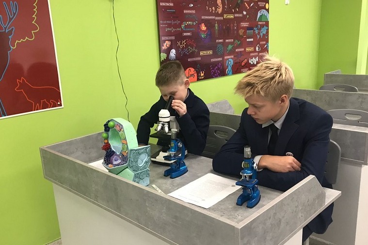 �������� �������� ���������� ����������� '���������������' ����� � ���������� �� ��������