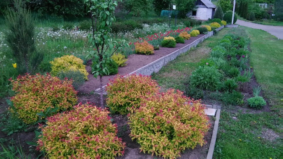 ���������� ��������