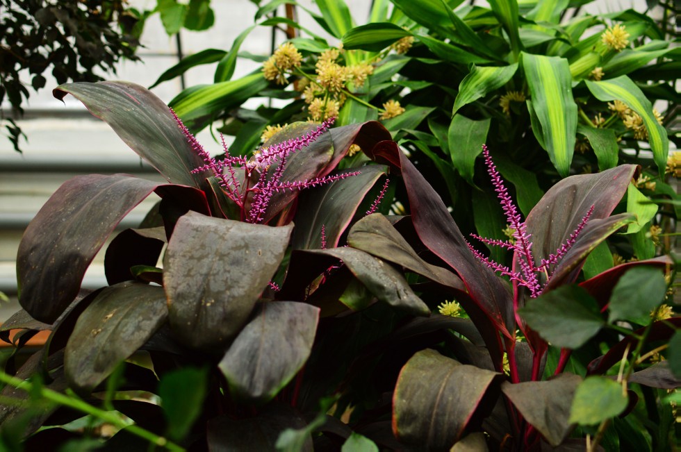 ���������� ��������