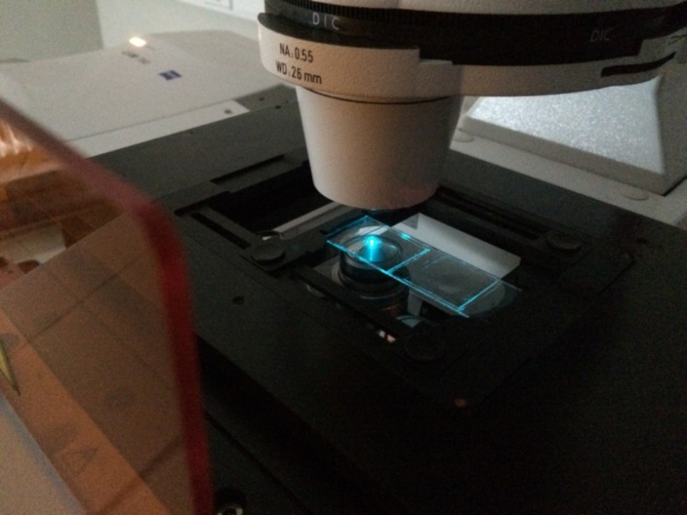 Hair surface engineering to be advanced by nano vehicles Hair surface engineering to be advanced by nano vehicles