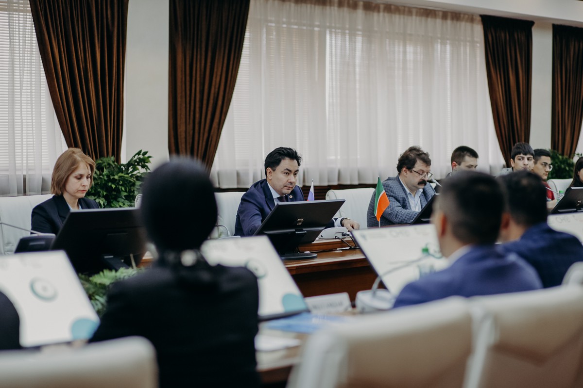 В КФУ впервые проходит Международная модель ОИС В КФУ впервые проходит Международная модель ОИС