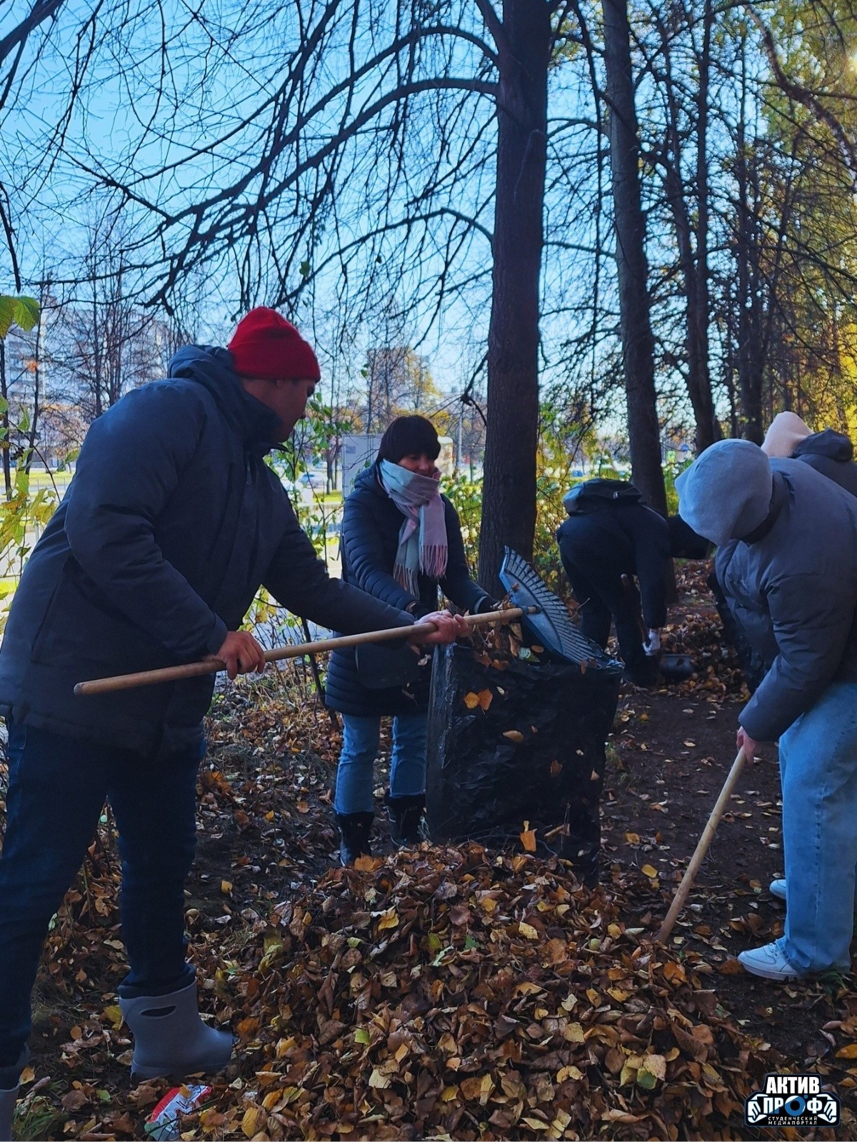 ���� ����� �� ������!