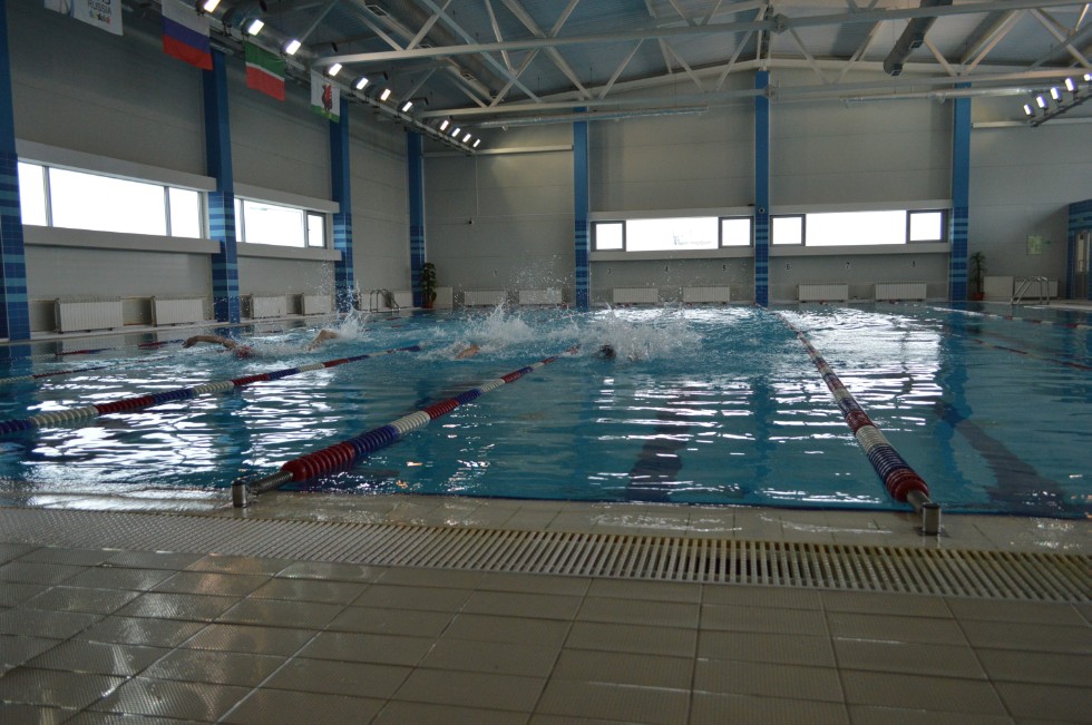 � �������� ���� - �������� ���