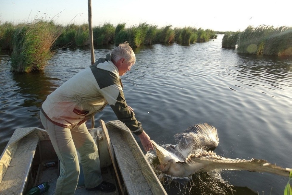 ��������� ����������� ��������� ��� �������� �� ���������� � ��������