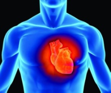 В КФУ обсуждали заболевания сердца ,Институт фундаментальной медицины и биологии, научно-практическая конференция, актуальные проблемы кардиологии.