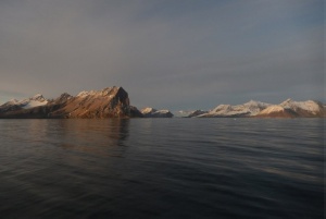 Научно-исследовательский рейс на НИС 'Helmer Hanssen' ,Арктика, арктические экосистемы, климатические изменения