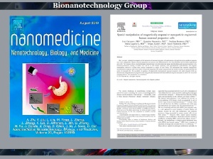 14 статья в этом году ,Nanomedicine: Nanotechnology, Biology and Medicine, магнитные наночастицы, нейрональные клетки