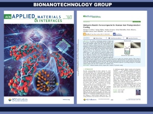 1st article in 2020 ,ACS Applied Materials & Interfaces, keratin, nanotubes