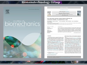 17th article this year ,Journal of Biomechanics, Lipopolysaccharide, Monoclonal antibodies, Yersinia pseudotuberculosis, Optical tweezers, Microspheres