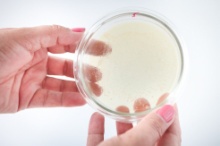 Казанские микробиологи работают над преодолением устойчивости патогенов к антибиотикам