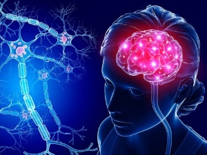 Научная статья от авторов из ИТИС о причинах мигрени вошла в топовый мировой сборник 'Выбор редакции по клеточной нейрофизиологии в 2021 году' ,ИТИС, нейроморфные вычисления и нейросимуляции, ИИ, Liberal AI, Свободный искусственный интеллект