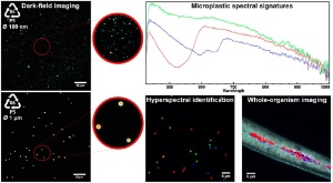 Dark-field hyperspectral microscopy for identification of microplastics and nanoplastics in living organisms ,IFMB, microscopy, pollution, plastics