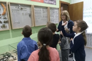 Преподаватели Елабужского института КФУ провели экскурсию для школьников по зоологическому музею