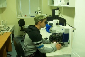 На архипелаге Шпицберген студент КФУ обнаружил микропластик ,микропластик, Арктика, Шпицберген, загрязнение почв