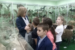 Преподаватели Елабужского института КФУ провели экскурсию для школьников по зоологическому музею